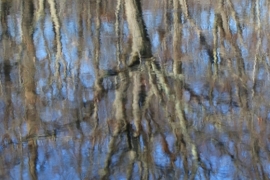 Refection 2